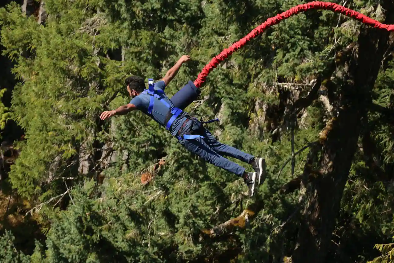 saut à l'élastique